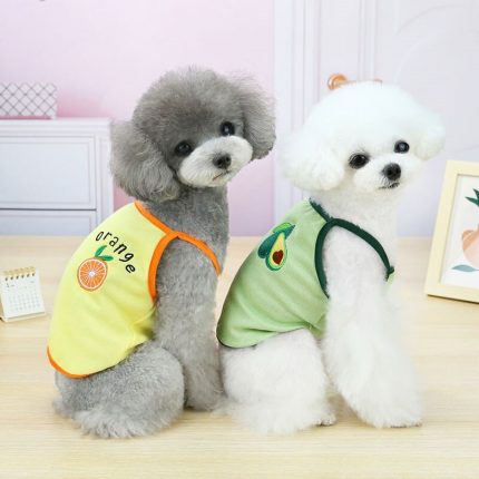 Cute Fruit Pet Dogs T-shirt Summer Soft and Breathable Dogs Cats Clothes Designed for Small Dogs Chihuahua Costumes pet clother 2