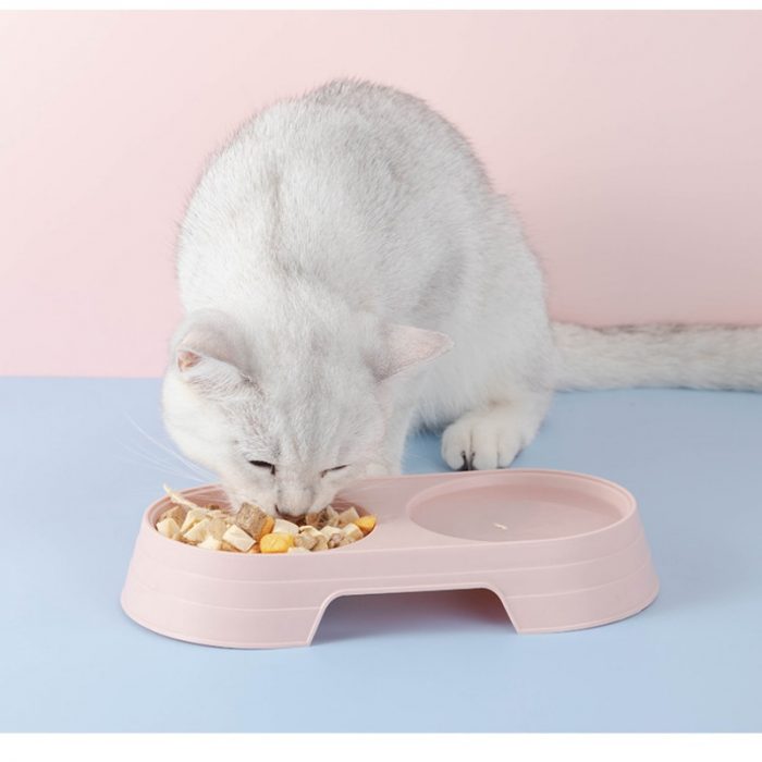 Macaron Pet Double Bowl Plastic Kitten Dog Food Bowl Drinking Tray Feeder Cat Feeding Pet Supplies Cat Accessories Pet Food Bowl 2