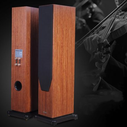 P2F Hifi Cinema Loudspeakers AV Speaker FOCUS AUDIO Vifa Tweeter Tymphany Midrange 130w 4Ohm 2