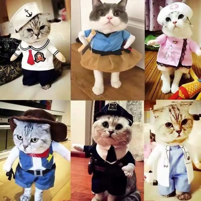 Funny Costumes Pets Cute Costumes Cat Costumes Funny Cats and Dogs Costumes Stand Up Polyester Clother Festival Party Clothing 1