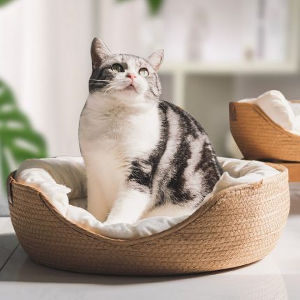 Four Season Cozy Nest Baskets Sleeping Bag Soft Cat Kennel Dog Beds Bamboo Weaving Waterproof Removable Cushion Design Pet Beds 2
