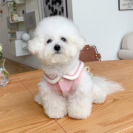 Puppy Lapel Vest Summer Thin Dog Clothes Pet Teddy Button Down Pomeranian Cool Two-legged Clothes Pet Supplies 2
