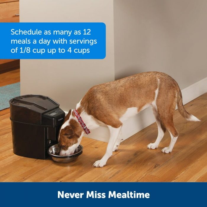 Free Shipping Healthy Pet Simply Feed Automatic Dog and Cat Feeder, Dispenses Dog Food or Cat Food Pet Feeder Waterer Food Bowl 2