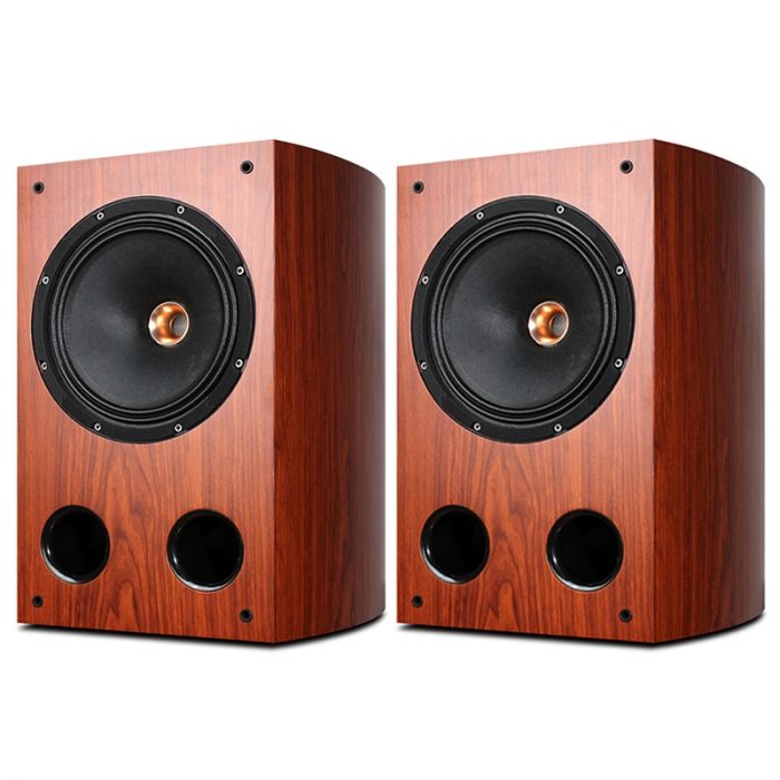 200W 10 Inch Coaxial Bookshelf Speakers Fever Hifi Home Theater System Music Full Frequency Audio Amplifiers Passive Speaker 1