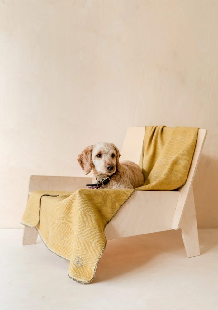 Natural Real Pet Camping Furniture and Pet Crate Furniture 2 Door Coffee Table with Waterproof Dog Bed Cover Pet Blanket 3