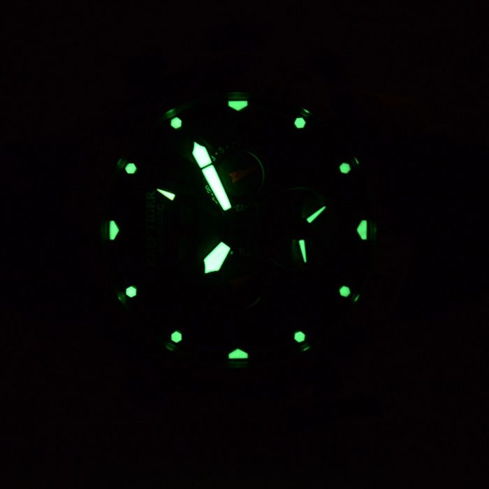 Reef Tiger Men Wrist Watch,Mens Automatic Watches Luxury Waterproof Self Wind Mechanical Wristwatch Relogio Steel Strap RGA3532 2