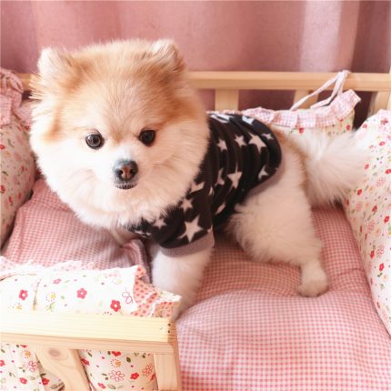 XS-L Pet Clothes Puppy T-shirt Dog Vest Cat T-shirt Cat Vest Puppy Supplies Dog Accessories Five-pointed Star Clother Black 2