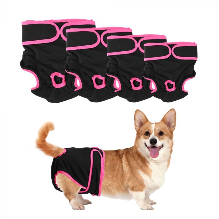 Pet Underwear Pet Products Physiological Pants For Small Meidium Size Dogs Female Dog Shorts Puppy Diaper Dog Supplies 1