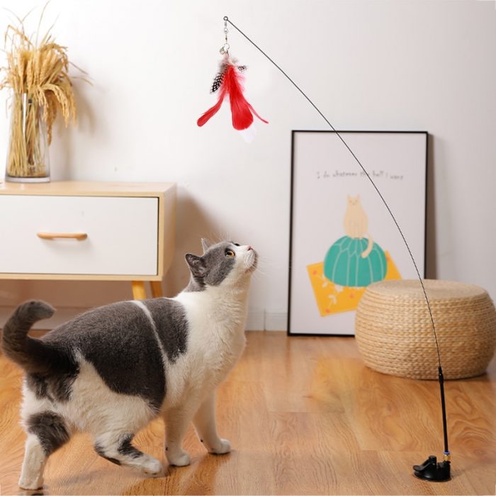 Interactive Cat Toy Handfree Cat Stick Playing Kitten Playing Teaser Wand Toy Suction Cup Bird/Feather Cat Wand Pet Supplies 1