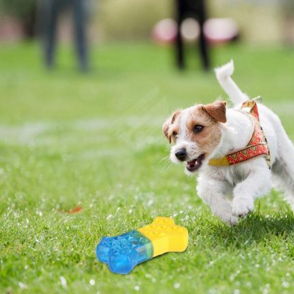Summer Cooling Dog Toys  Pet Toy Molar Bone Toy Filled With Water Dog Cooling Toys Frozen Molar Toy Bite-Resistant Pet Supplies 2