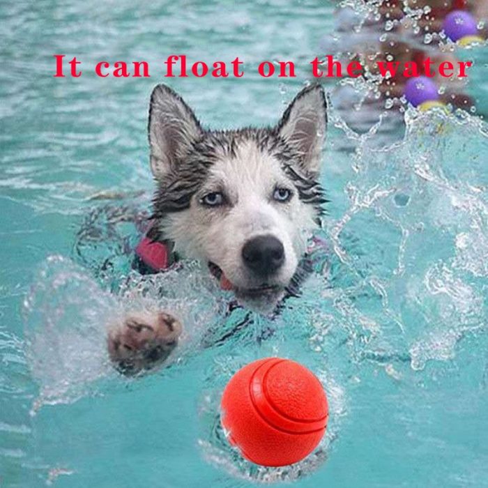 High Elastic Pet Dog Toy Rubber Ball EVA Chew Bite Training Elasticity Balls With Rope Interactive Pet Toys Bouncy Ball Floating 2
