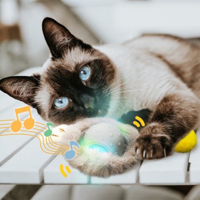 Smart Sensing Cat Toy Electric Rolling LED Pet Cat Ball Toys Interactive Automatic Rechargeable Sound for Activity Indoor 3