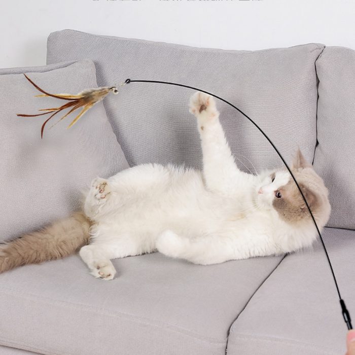 Interactive Cat Toy Handfree Cat Stick Playing Kitten Playing Teaser Wand Toy Suction Cup Bird/Feather Cat Wand Pet Supplies 5