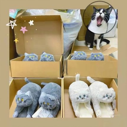 Designer Funny Cat Slippers Unisex Women Fluffy Slides Flats Anti-slip Home Fur Slippers Shoes WomanMen Memory Foam Slipper 2023 2