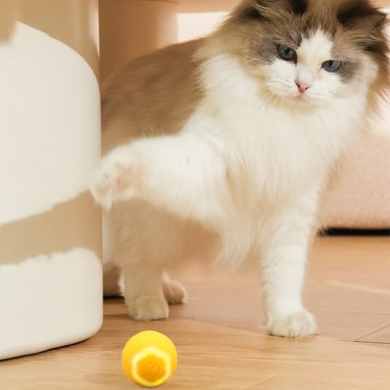 Smart Cat Toys USB Rechargeable Automatic Rolling Balls Electric Self-moving Interactive Pet Toy for Kitten Dog Indoor Playing 2