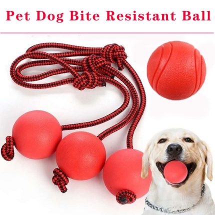 High Elastic Pet Dog Toy Rubber Ball EVA Chew Bite Training Elasticity Balls With Rope Interactive Pet Toys Bouncy Ball Floating 1
