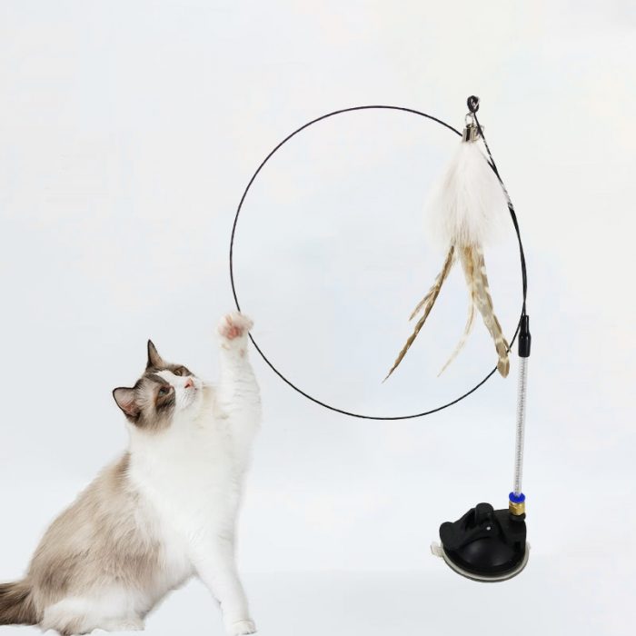 Interactive Cat Toy Handfree Cat Stick Playing Kitten Playing Teaser Wand Toy Suction Cup Bird/Feather Cat Wand Pet Supplies 3